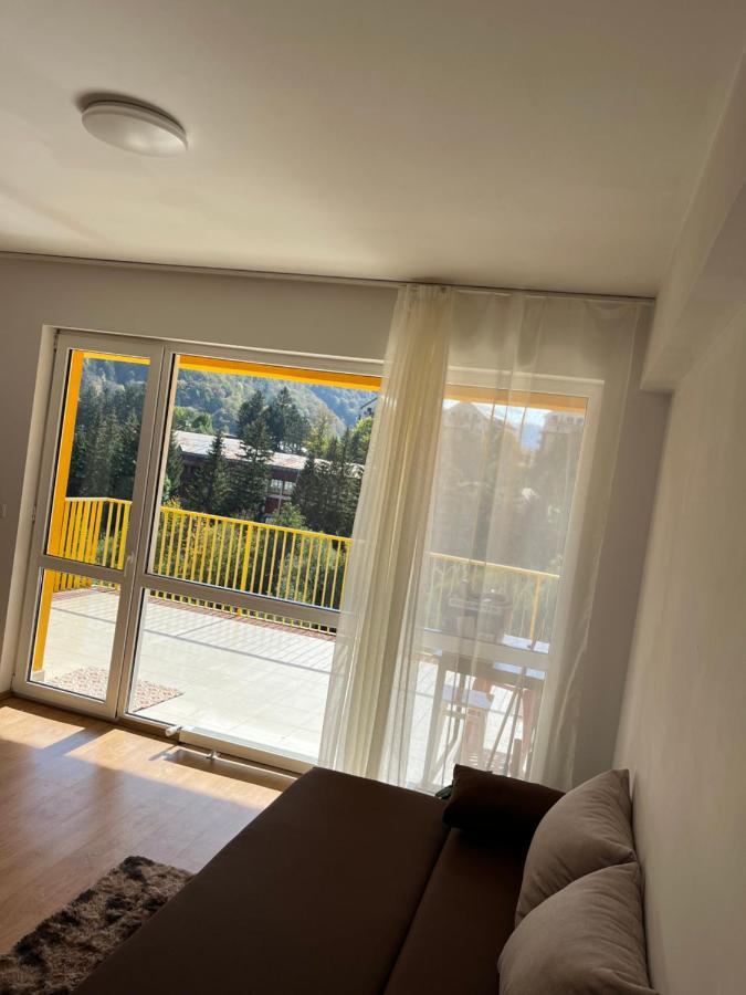 Anissia Apartament Appartement Sinaia Buitenkant foto