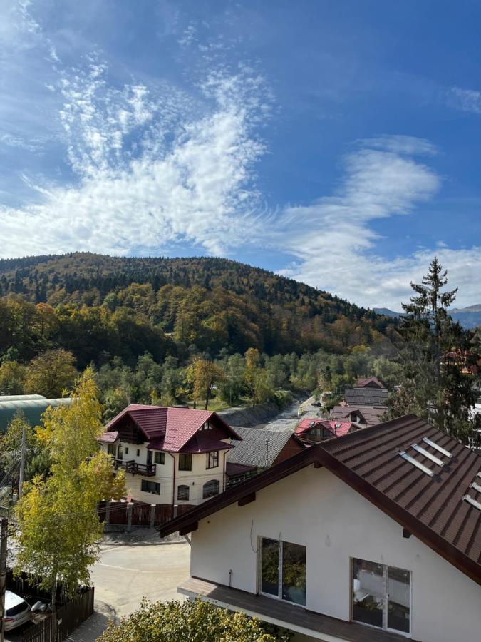 Anissia Apartament Appartement Sinaia Buitenkant foto